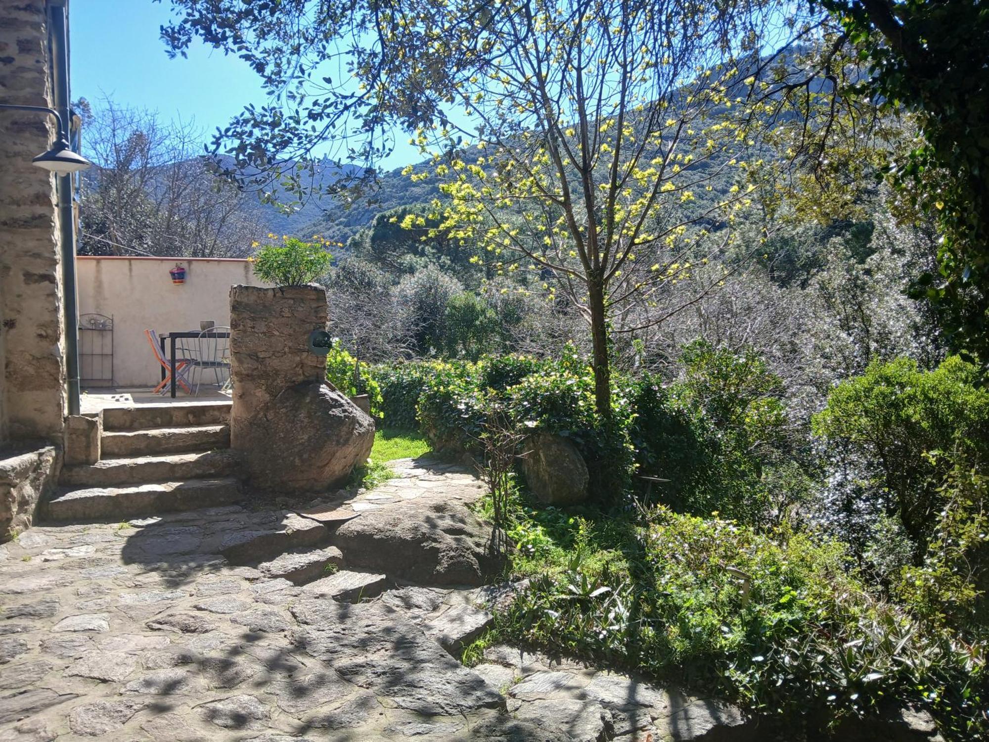 La Bergerie Villa Sorède Buitenkant foto